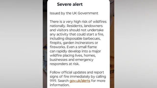 The alert