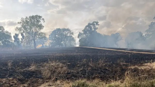 A large area of grass is charred and blackened by fire, with grey/white smoke rising from the ground
