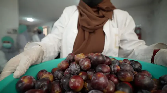 A woman, whose face is obscured, carries a large tub of fruit in a factory.