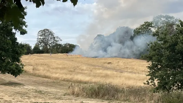 Flames are travelling along an area of brown grassland, and people are visible standing nearby and moving away from it. There is smoke rising from the field