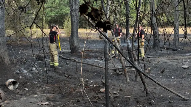A group of firefighters are standing within the charred remains of what appears of a wooded area. The earth around is blackened and the trees are burned.