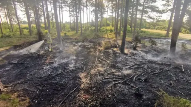 Firefighter sprays smoking forest floor with water
