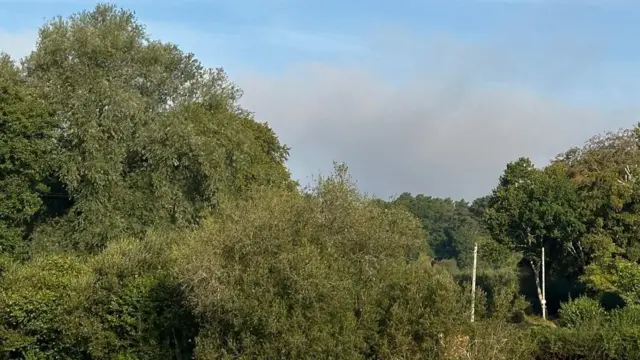 A31 New Forest smoke
