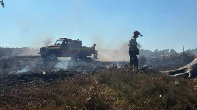 A31 New Forest fire