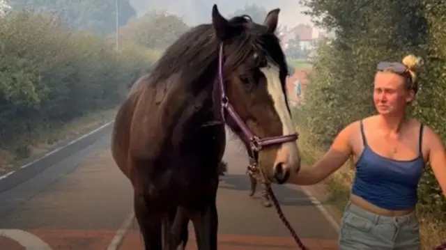A woman in a blue crop top and denim shorts leads a horse down a road with a huge plume of smoke behind them. The woman has her eyes closed.