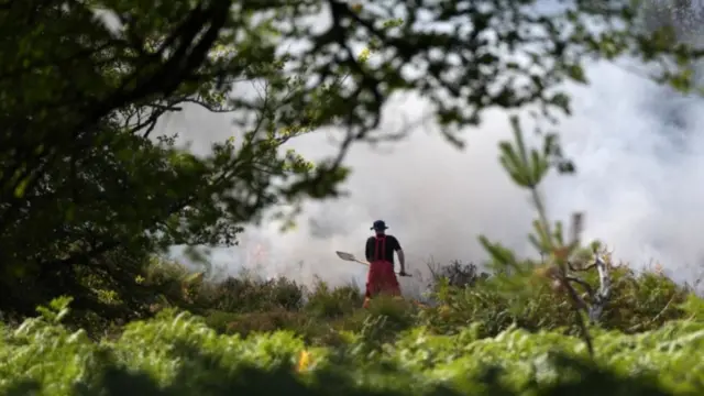 A31 New Forest fire
