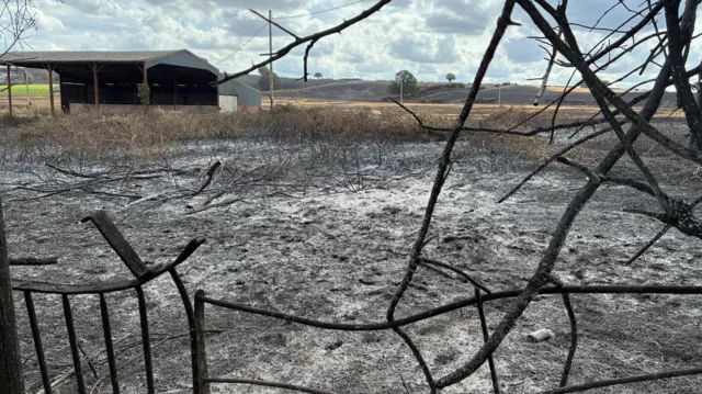 An agricultural building is visible in between the charred remains of a field. The earth around is blackened and a metal fence in the foreground of the photo is twisted and damaged..