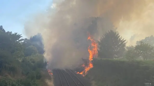 orane flames and black smoke are engulfing an embankment, bushes and trees next to a railway line
