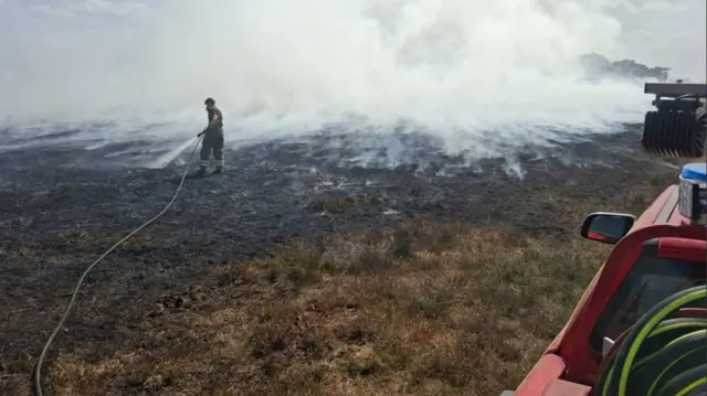 New Forest fire