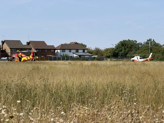 Helicopters in a field in Essex.
