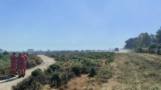 A31 New Forest fire
