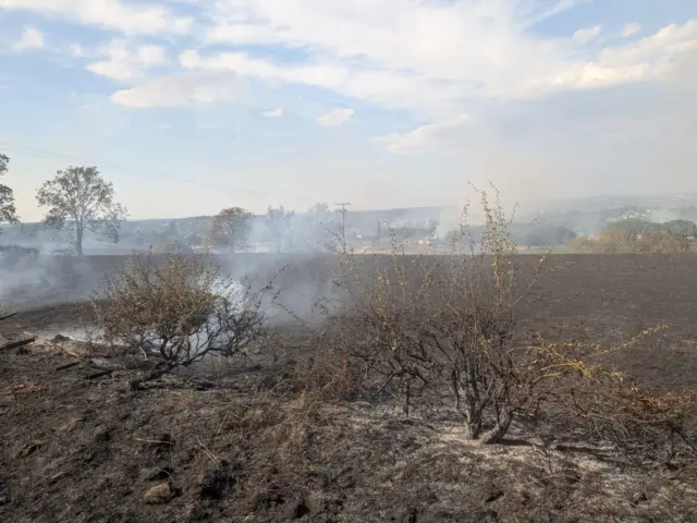 An entire field is scorched black by flames. Smoke runs across the land where just a handful of burnt plants remain upright.