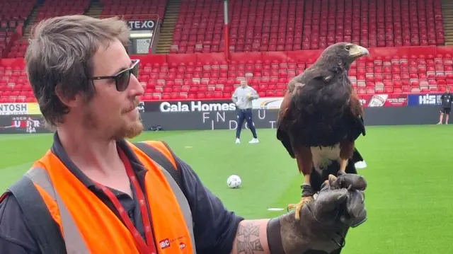 The Pittodrie pest control