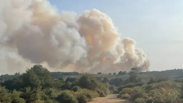 A plume of thick, white smoke rises towards the sky from fields on the side of a stretch of the A31 in Hampshire.