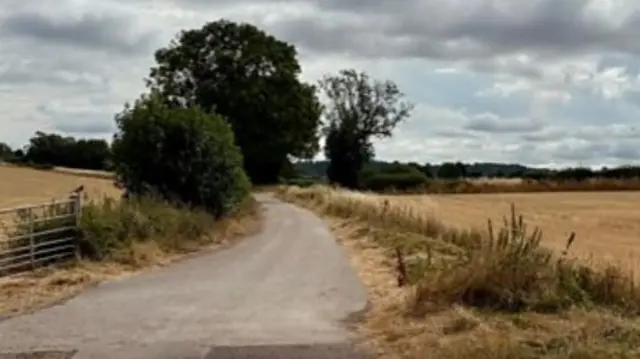 A brown field with a path running alongside and a number of green trees in the background