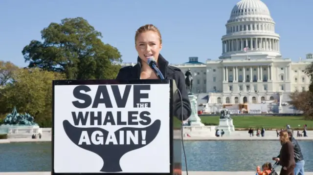 Hayden Panettiere in front of a board that reads: 'Save the Whales Again'