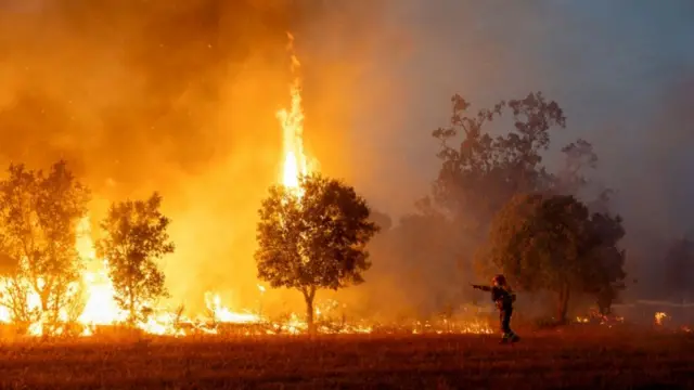 firefighter works to extinguish an advancing wildfire near Formariz in Zamora province, Spain