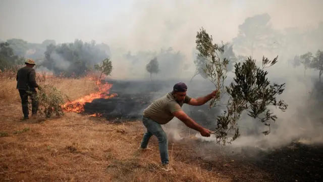Workers use olive branches to extinguish flames during in the Megara valley.