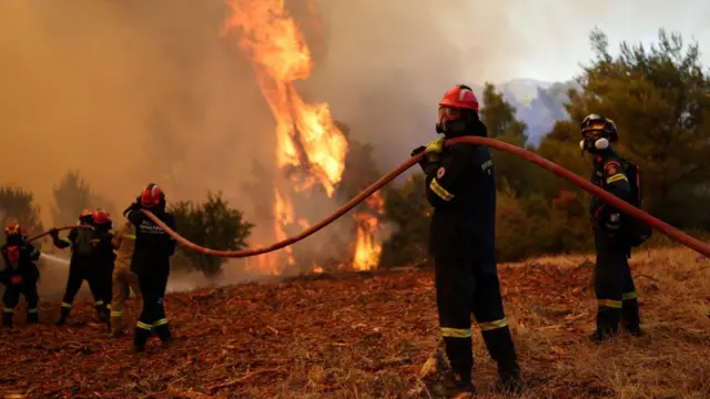 Firefighters holding a large hose while battling a wildire