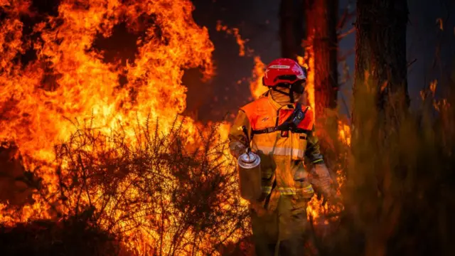 A firefighter works to contain a major wildfire near Saumos, Gironde department, France, 29 July 2026