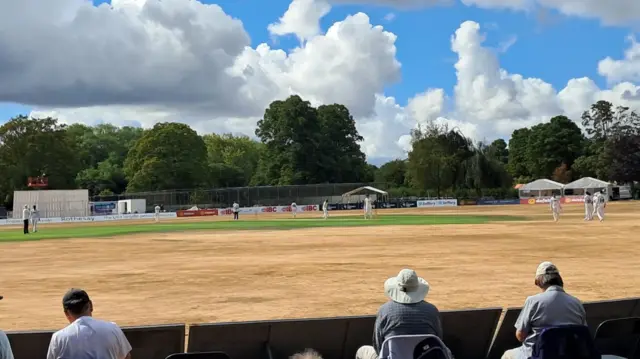 A shot of the yellow outfield at Merchant Taylors' where Middlesex are playing Kent