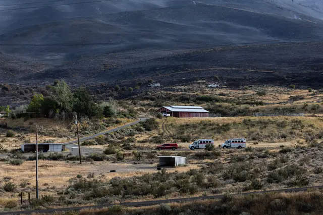 A wide view of Nevada grasses and hills