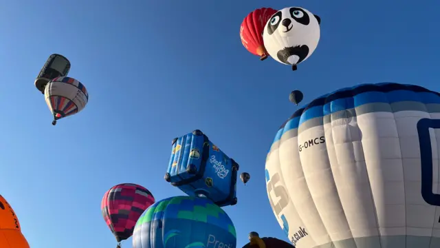 A number of balloons, including one shaped like a suitcase and one like a panda, float into a blue sky.