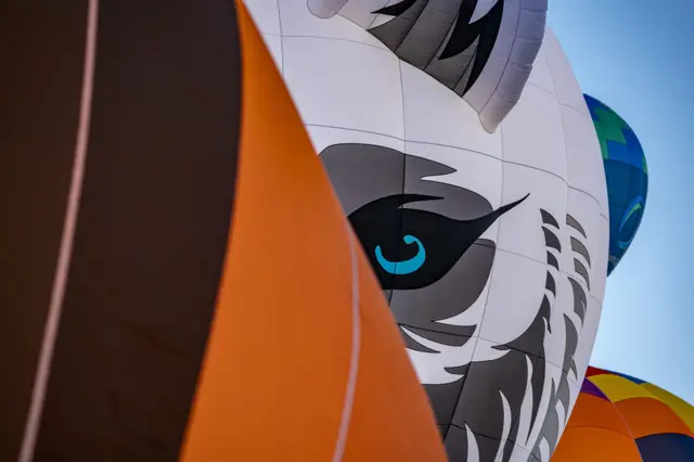 A big-cat shaped balloon peeks out from behind an orange and black balloon.