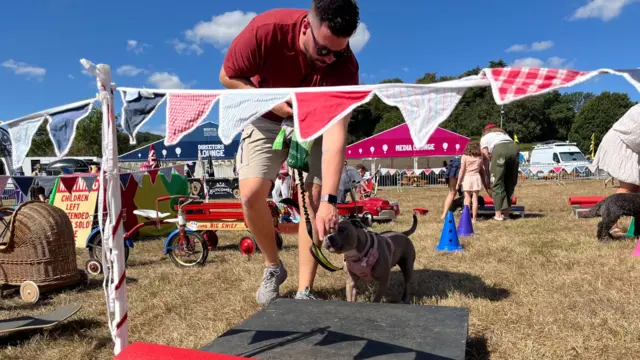 A man in a red top and grey shorts leads his small grey dog onto a platform with a treat.