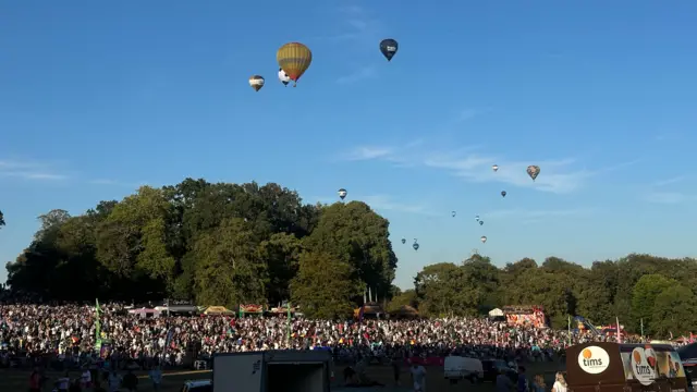Balloons in the sky above trees and crowds of people