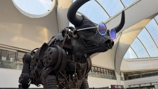 Ozzy the mechanical bull