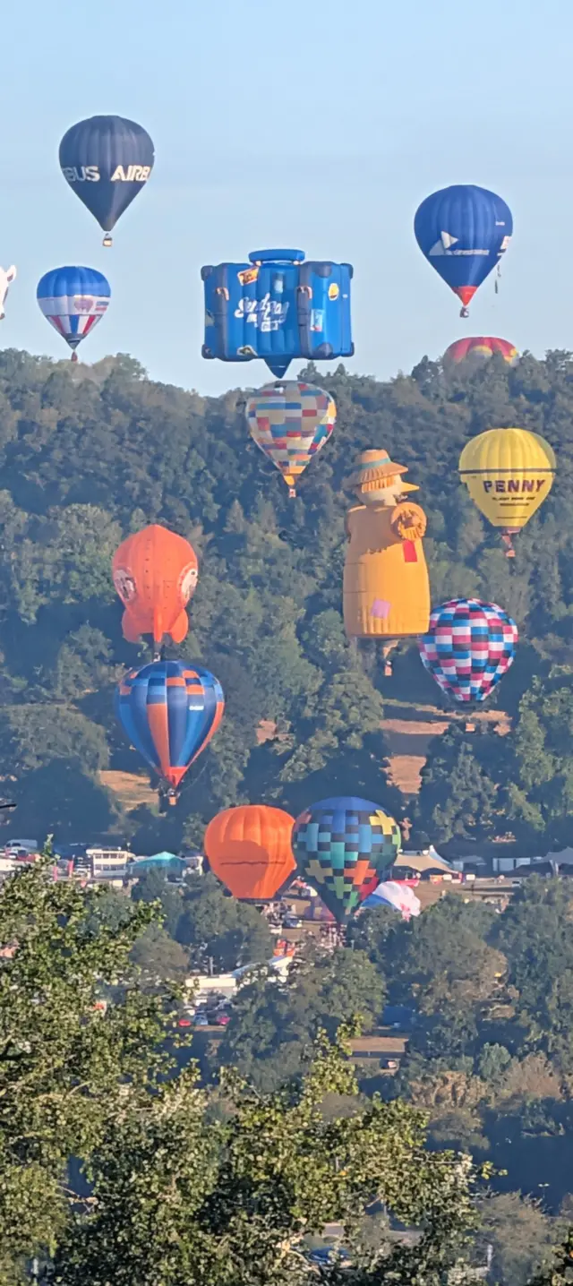 A large number of hot air balloons ascend into the blue sky against a wooded hill