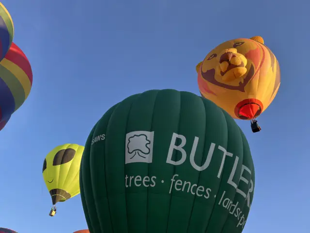 A green balloon, plus a tiger shape and alien shape, set off from Ashton Court into the blue sky.