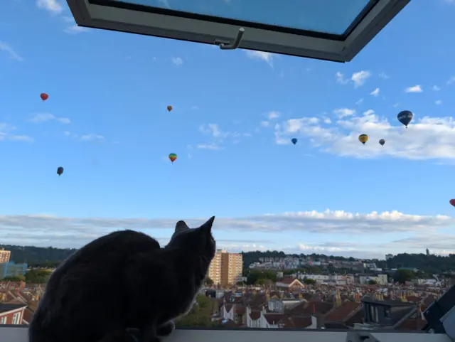 A cat is sitting in a window looking over a city with balloons in the sky.