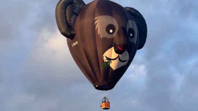 A black koala-shaped balloon.