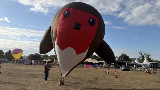 A model hot air balloon shaped like a robin.