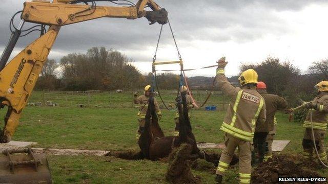 Wesley winched to safety