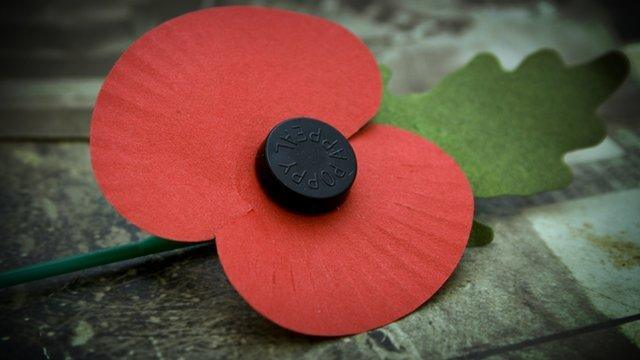 A Remembrance Day poppy