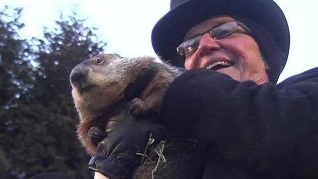 Man holds groundhog