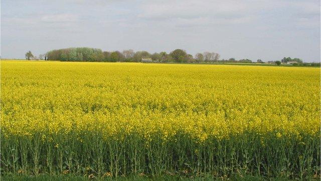 Farm land at Newborough