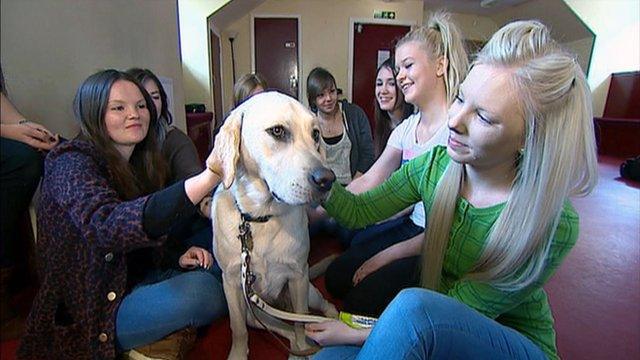 Students with a dog