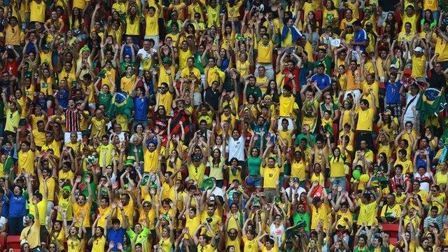 Brazil supporter