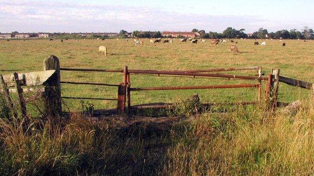 Hedon aerodrome