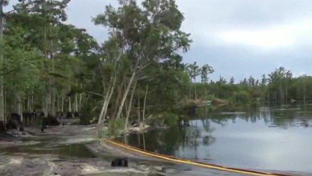 A tree falling into a sinkhole