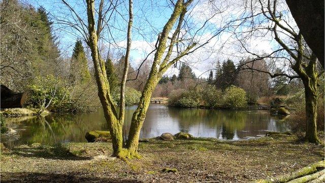 Japanese-style Garden at Cowden in Clackmannanshire