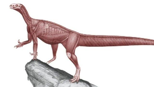 Artist's impression of Thecodontosaurus