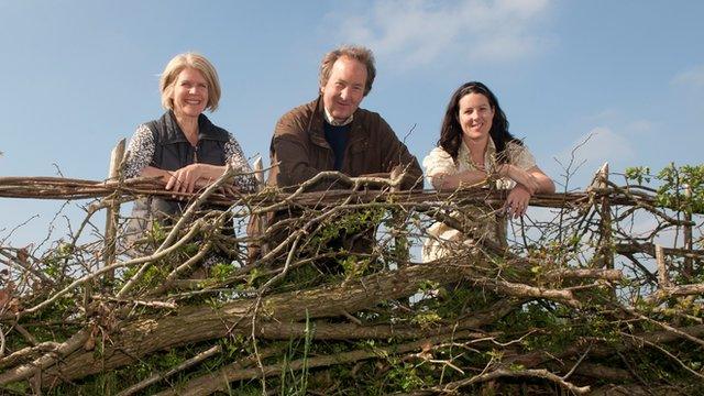 A restored hedgerow in the New Forest National Park. Pictured in the photo from left to right are Environmental Land Management consultant Jane Nordstrom, Bisterne Estate owner Hallam Mills and New Forest Land Advice Service manager Julie Stubbs.