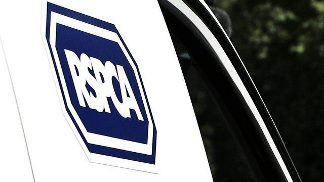 RSPCA