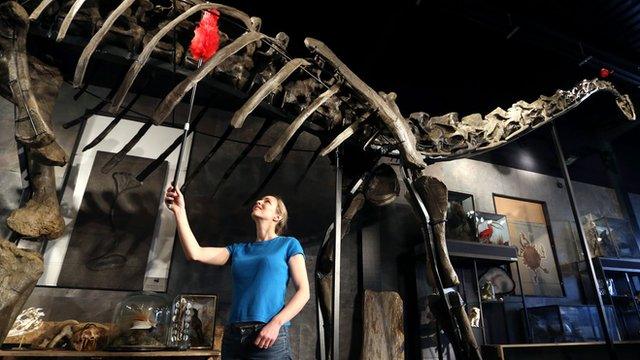 Woman dusting skeleton