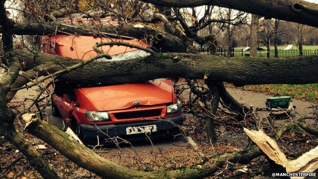 Tree falls on van